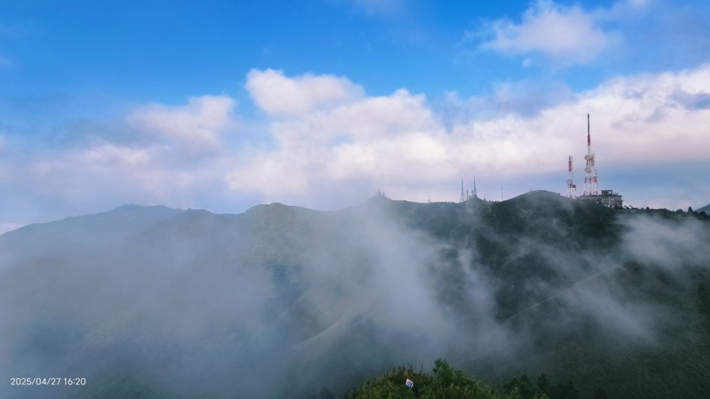 陽明山趴趴走 #琉璃光雲海 ，首拍 #綠鳩 4/27_2772147