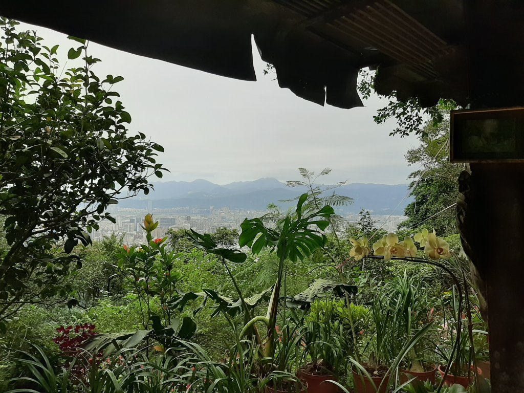 虎、豹、獅、象、九五峰、南港山、拇指山_1145143