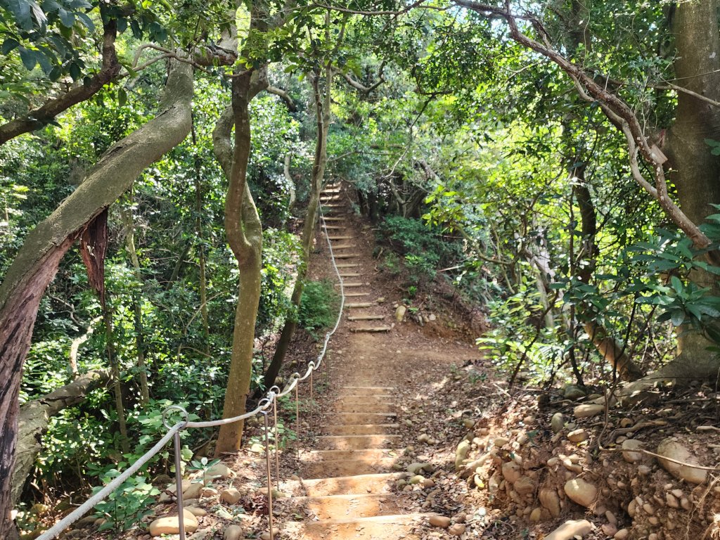 新竹新埔｜文山步道｜犁頭山_2891119