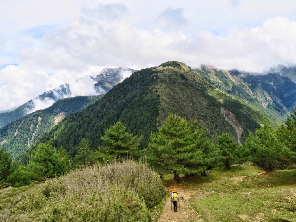 鹿林山 鹿林前山 麟趾山塔塔加三山縱走_1741221