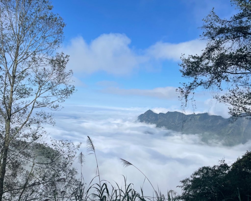 對關追龍貓🚌_1967737