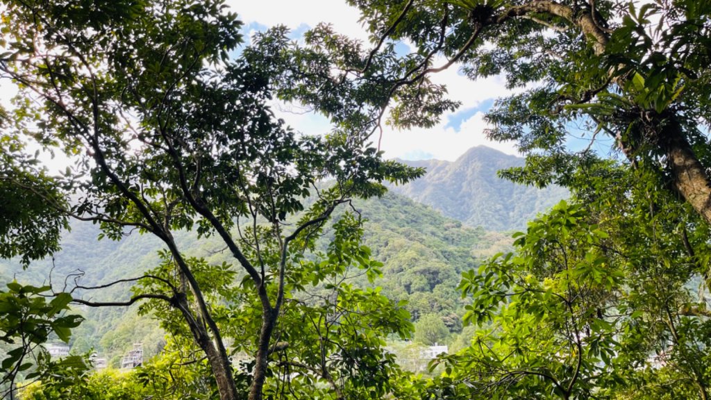 1101009內洞森林遊樂區_1484787