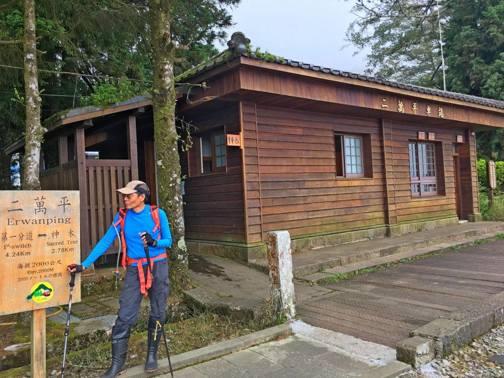 阿里山鄉神木之旅--拉拉喀斯1號神木及巨石神木_348685