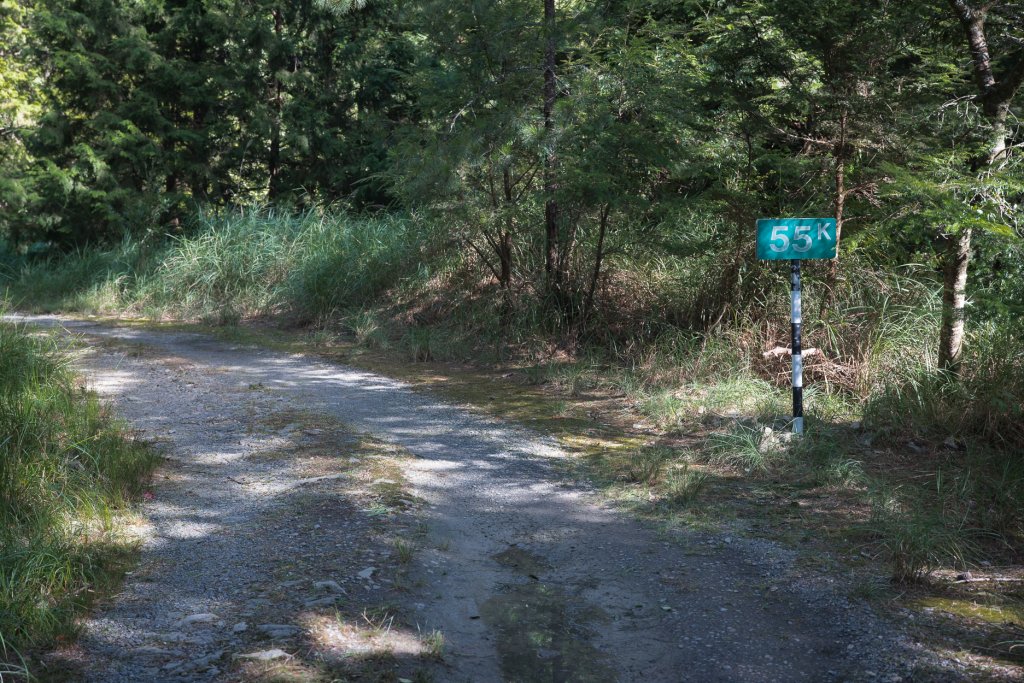 大雪山200林道 - 北三錐山_1493260