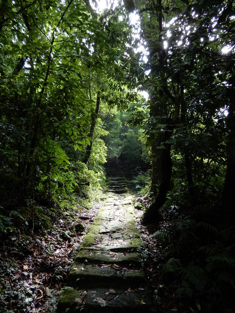 20180616_陽明山步道群_352070