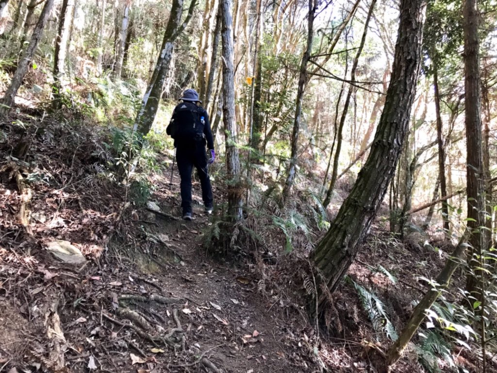 守關守城走大山_1187054