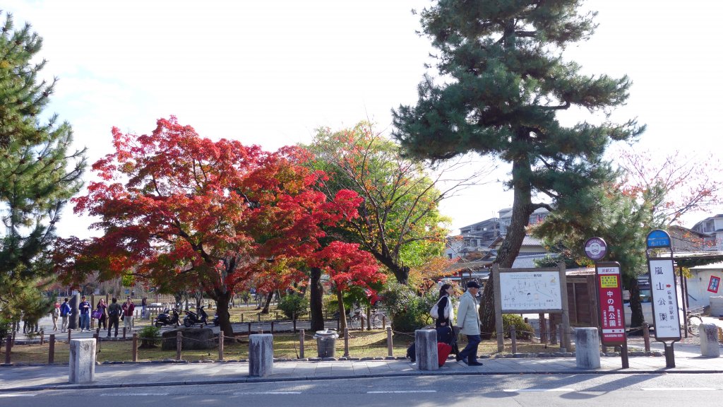 日本京都嵐山_651802