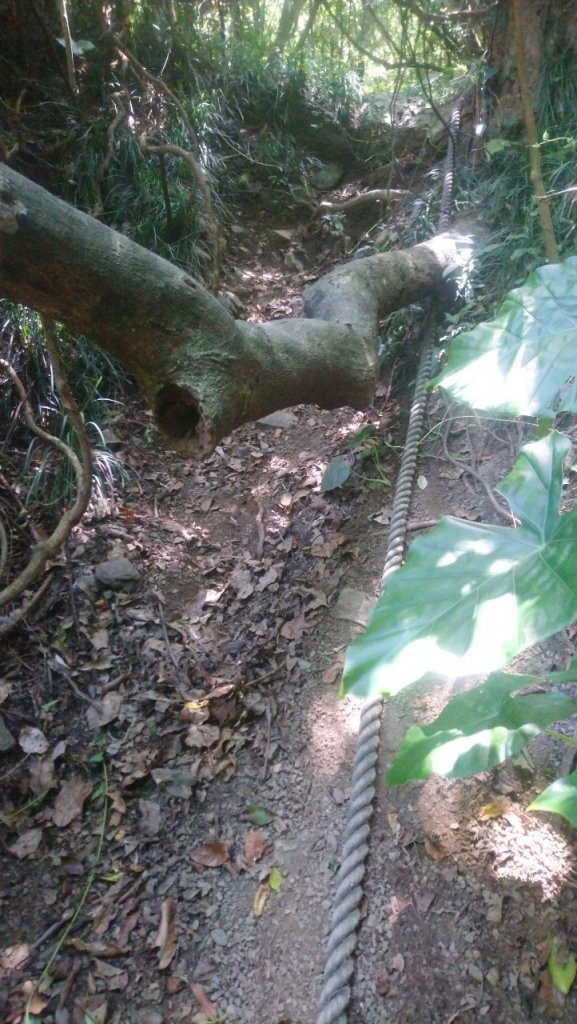 難惹的女仍山_1777345