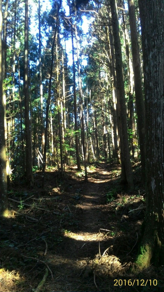 20161210新竹高台山,小中大島田山_79272