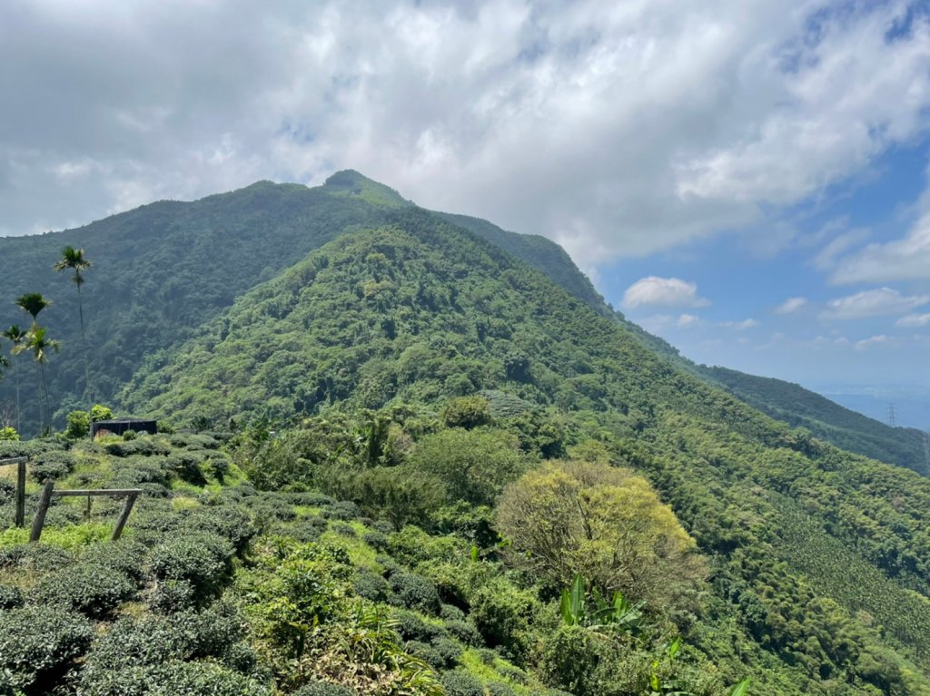 220820-挑筍古道(後棟仔山、小百岳#056雲嘉大尖山)_1834551