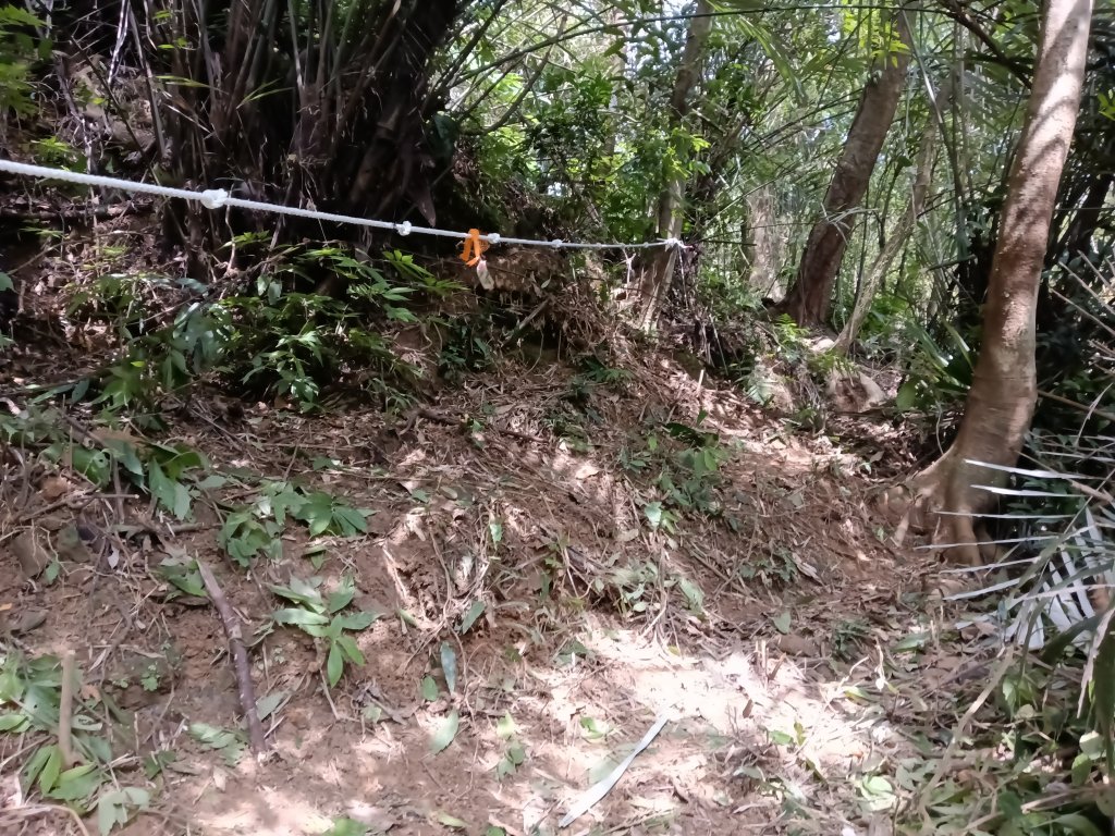 雙溪區大平林山+后番子坑古厝+后番子坑山+武山煤礦事務所+焦炭窯O型_2988607