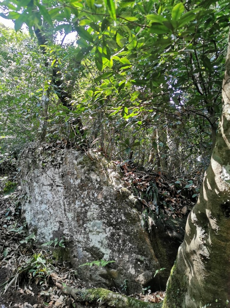 能與加里山互相對望的鵝公髻山_880385