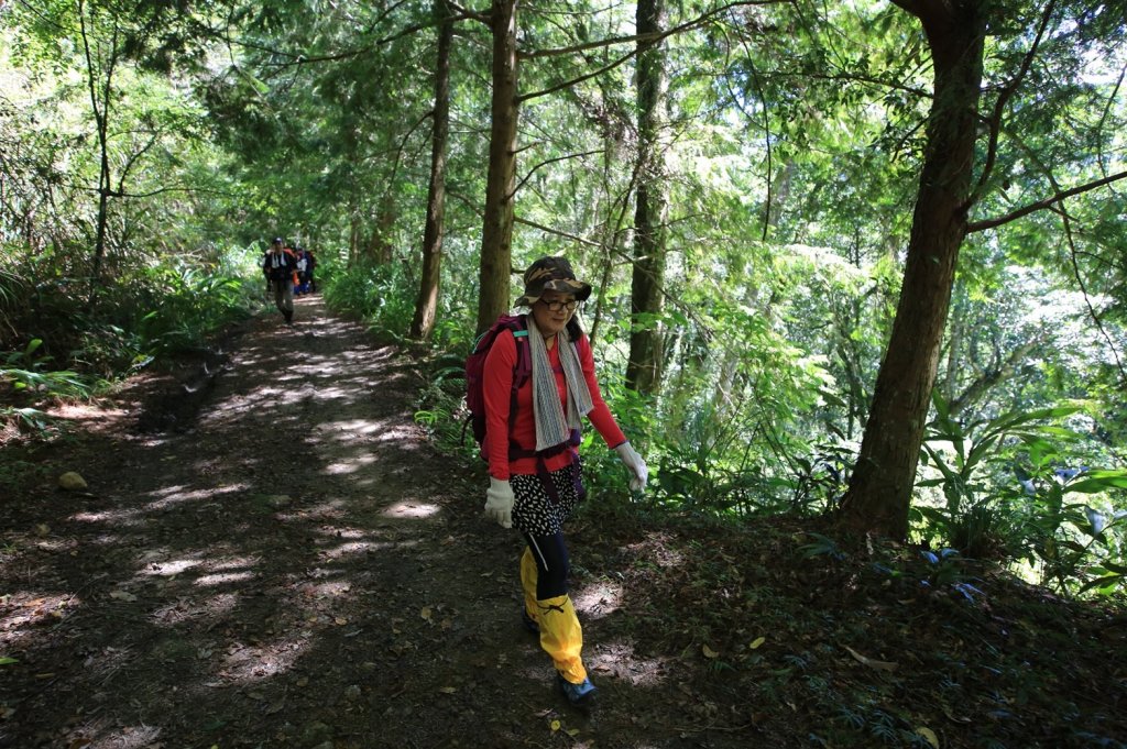 水樣森林 第一次在山裡過夜_658718