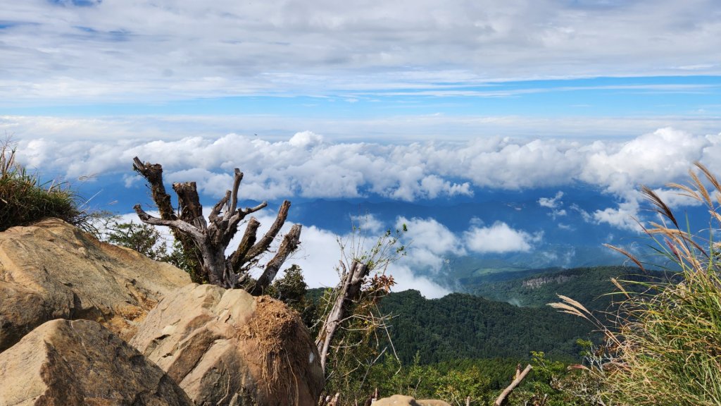 加里山，橫龍山，騰龍山，橫龍古道，鳥嘴山（上島山），南十八尖山，崎頂子母隧道，青青草原_1885633