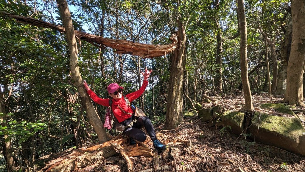 粗坑口尖.碇內尖.龍門山O型_2985800