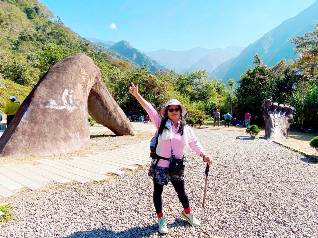 雪山坑登山步道尋巨人_2978289