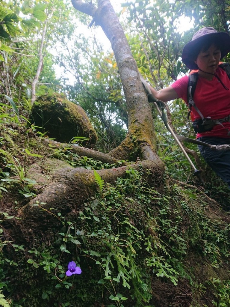畝畝山、青林山、石古井、石硿子瀑布、石硿子古道O走_1492806