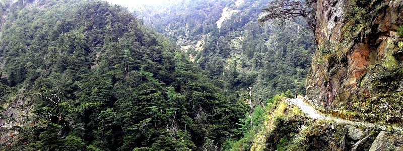 山風15度C吹拂 ~ 合歡溪 步道_1551825