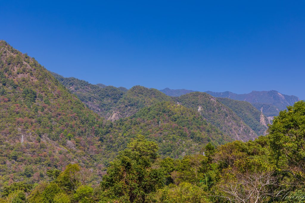 谷關七雄_唐麻丹山_3015608