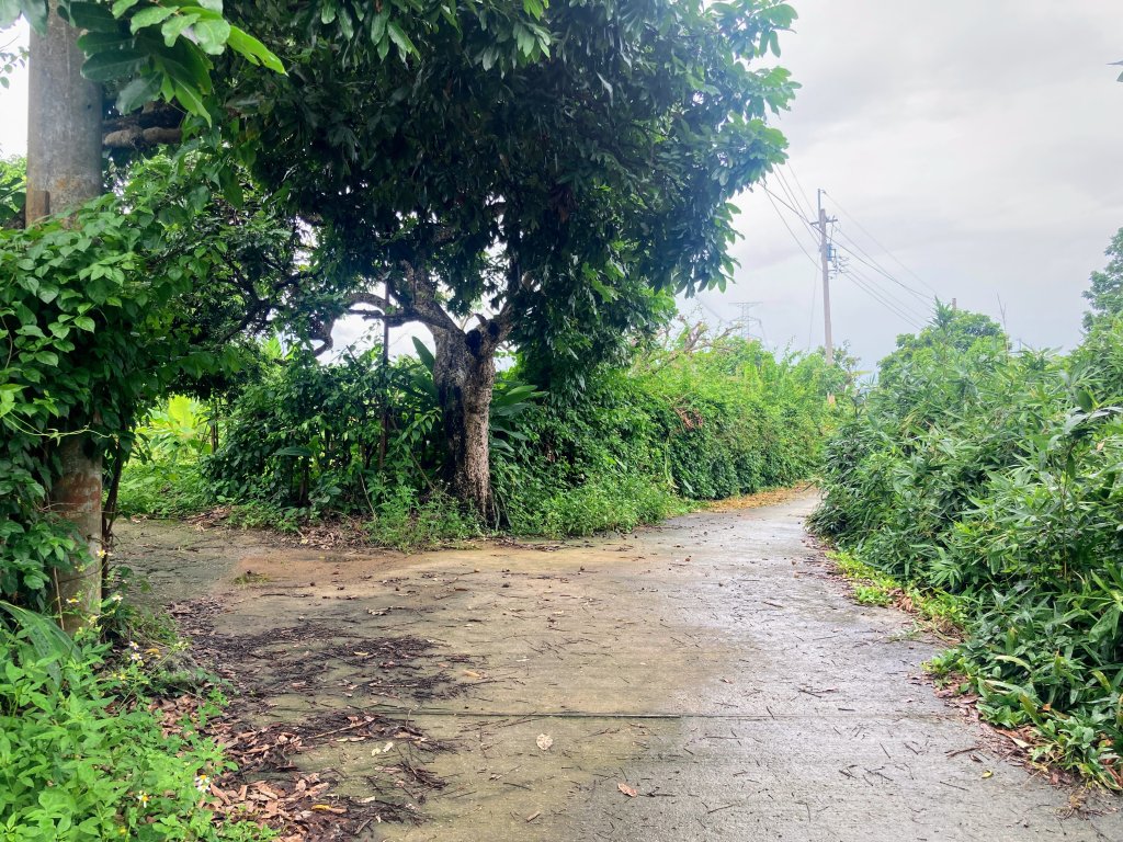 阿罩霧山_2600914