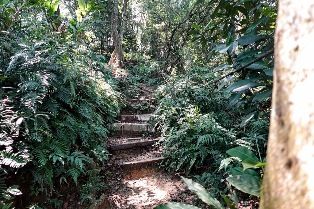 溪洲山小百岳｜福山巖登山步道_2898903