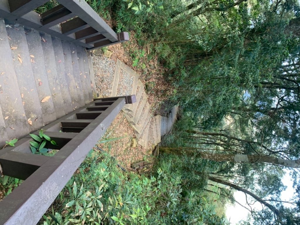 奮起湖大棟山封面圖