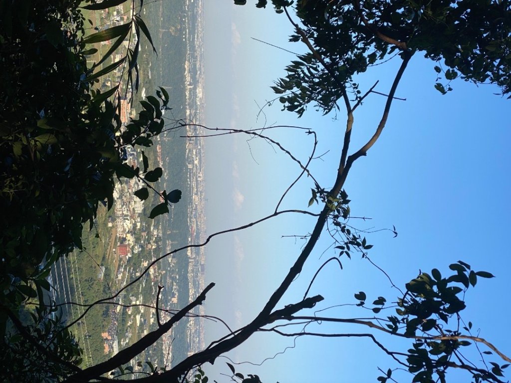 桃園大溪-打鐵寮古道-白石山_2612639