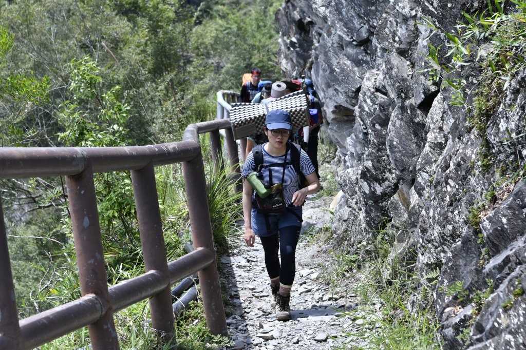 八通關上玉山_1025050