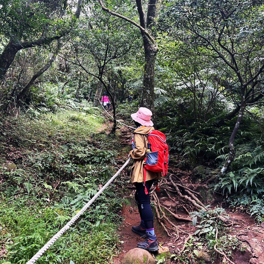 臺北大縱走2：二子坪到小油坑_1487028