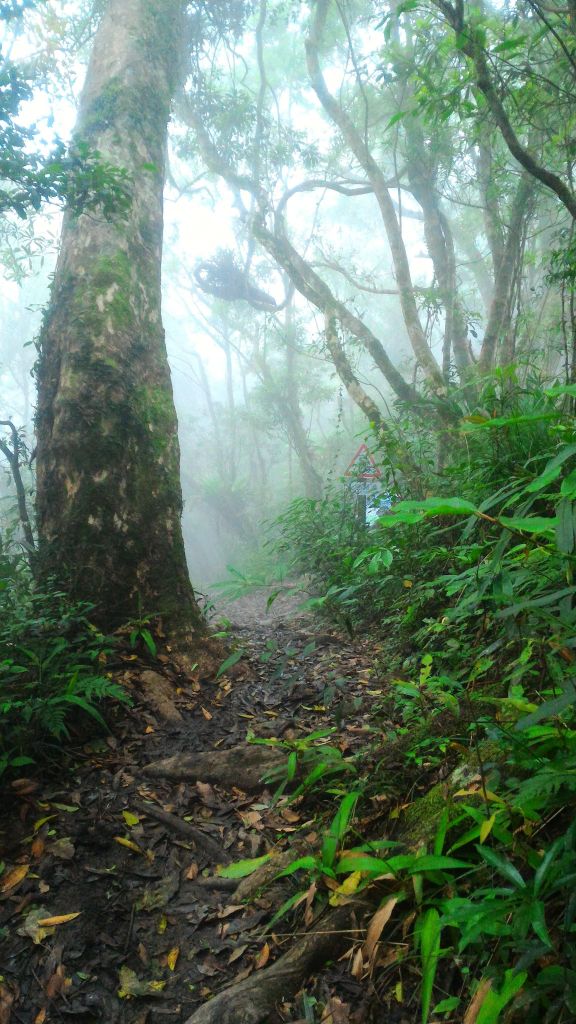 都蘭山_131623