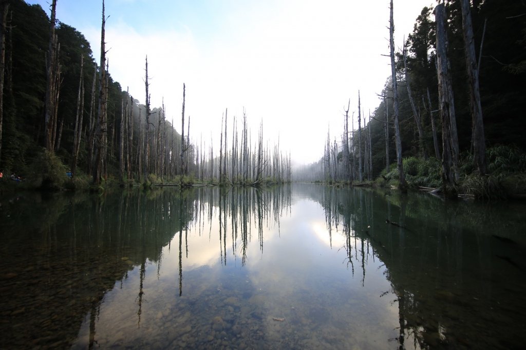 水樣森林 第一次在山裡過夜_658885