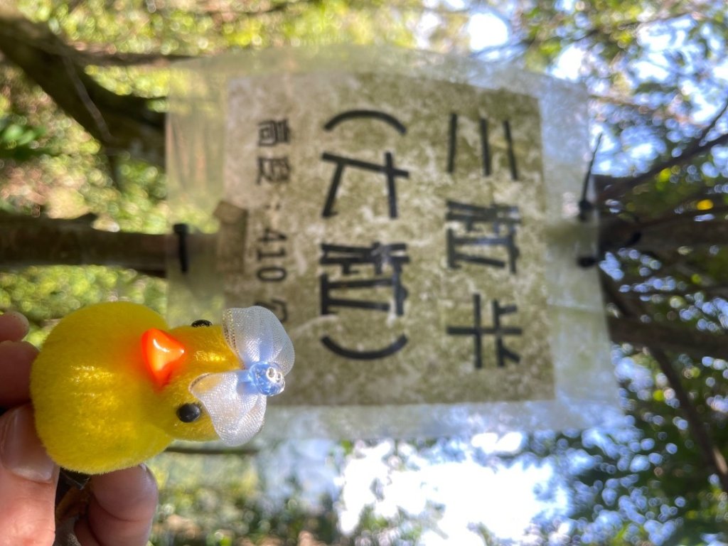 微笑山⛰️線-大棟-二格山-五分山-天上山-鳶山💎12條步道完成💙_2837234
