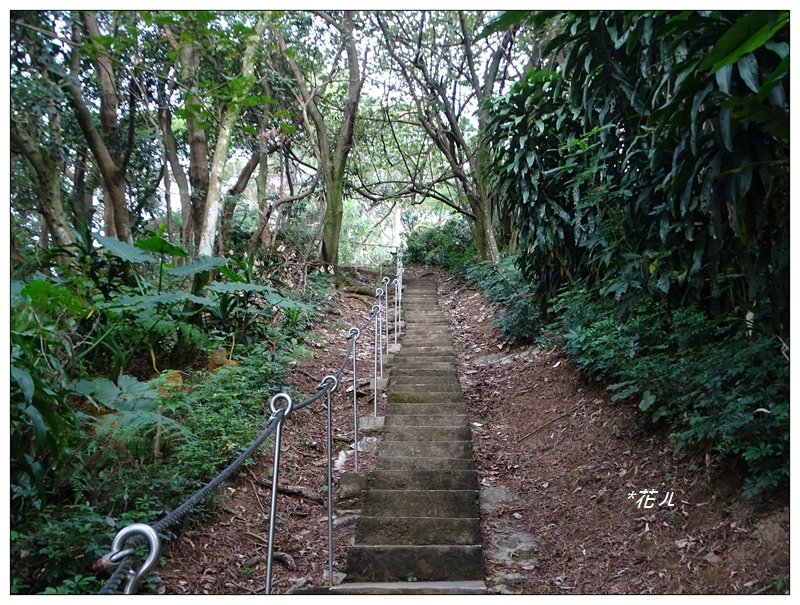 大同山步道/青龍嶺_751939