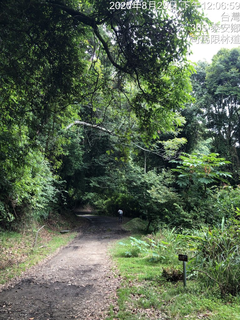 雪見遊憩區/司馬限林道/東洗水山_1086205