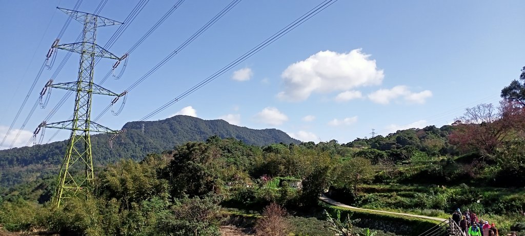 【臺北大縱走 7】貓空站→樟樹、飛龍步道_1254320