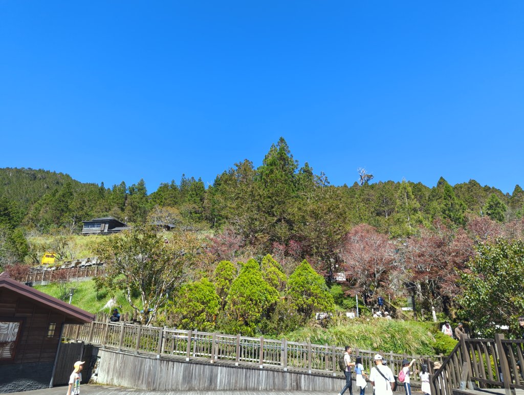 2025.09.28－太平山森林遊樂區_2898773