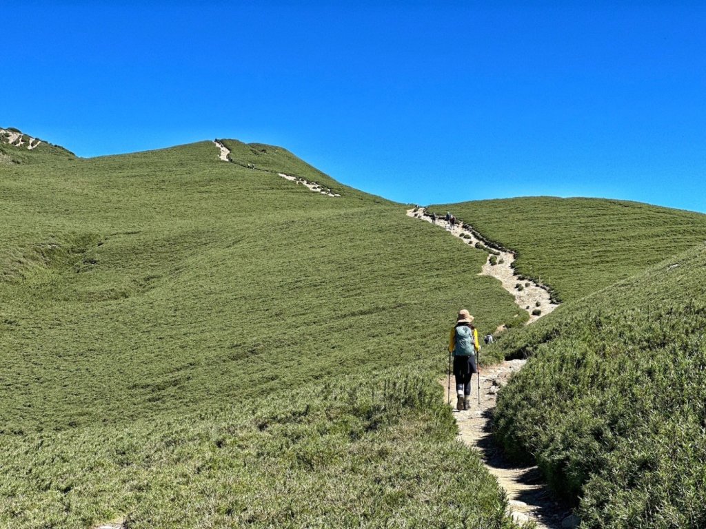 合歡北峰 盛夏之美_2544915