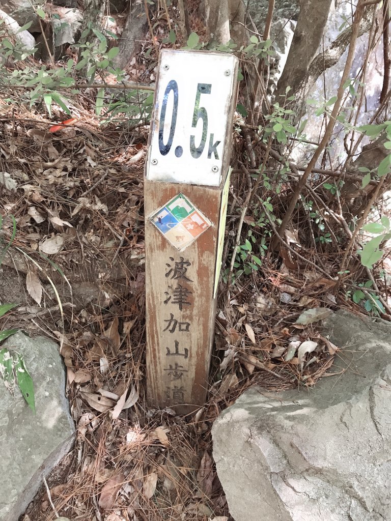 ~ 谷關七雄—第四雄「波津加山」 ~_1500697