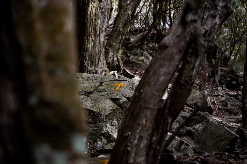 鳶嘴稍來山｜鳶嘴山稍來山O型縱走_2987977
