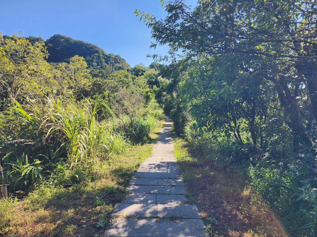 小百岳No.10⛰五分山_2883151