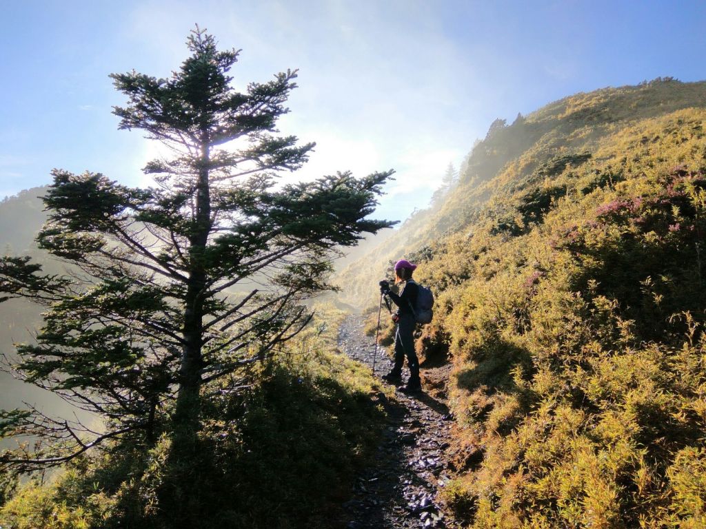 大霸尖山 小霸尖山 伍佰圓山 _208206