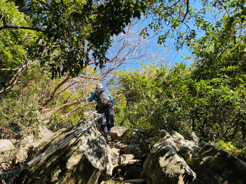 1150123里龍山_2986664