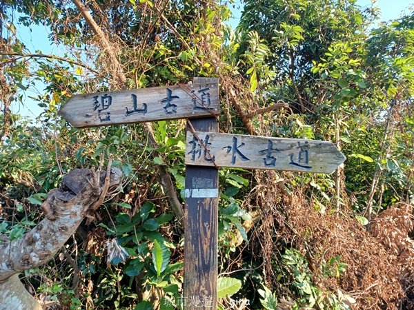 【彰化員林】視野豐富的郊山步道。 大峰巷步道x十八觀音步道x挑水古道x碧山古道O繞_2771930