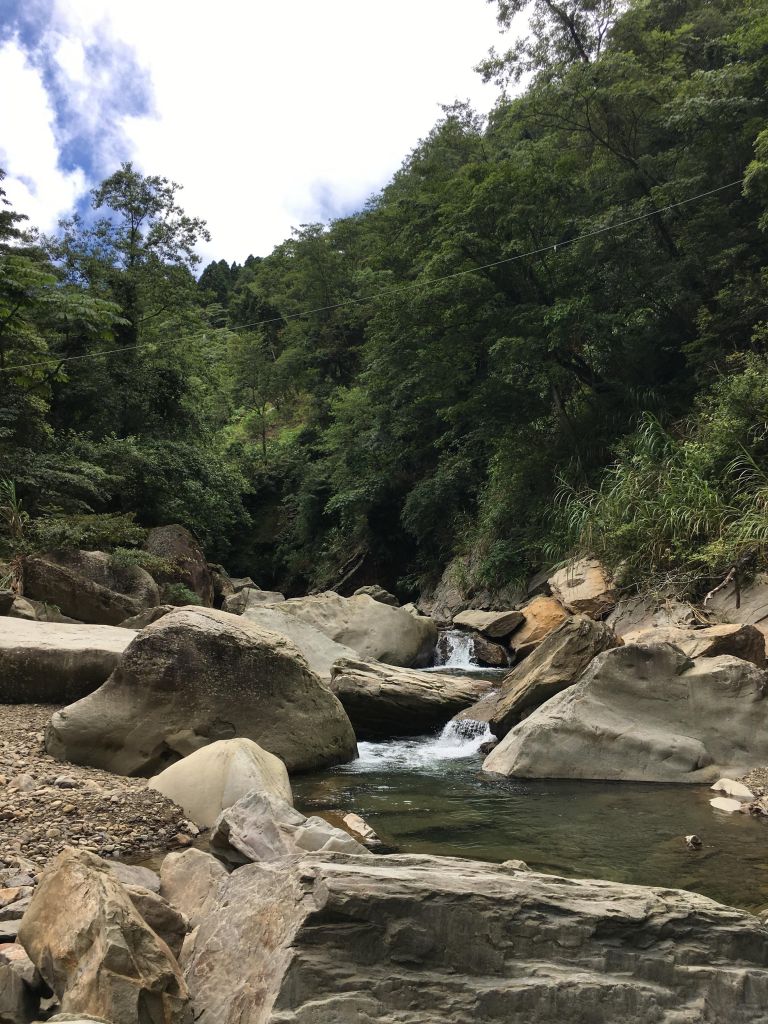 加里山步道_141144