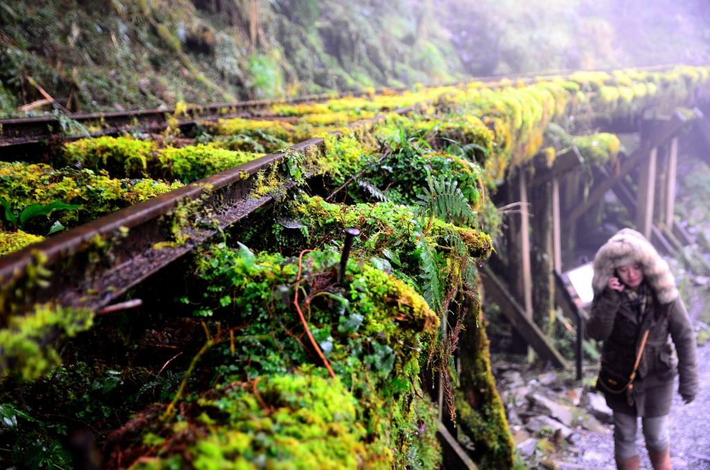 心靈步道..見晴古道_101524