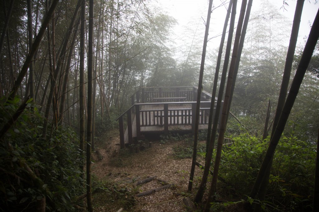 步道巡訪員│四大天王山步道一月巡訪日誌_817815