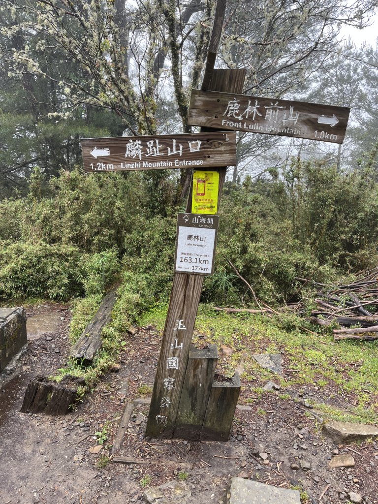 鹿林山-鹿林前山-真鹿林山-石水山-石水山基點峰 2025.5.25_2798415