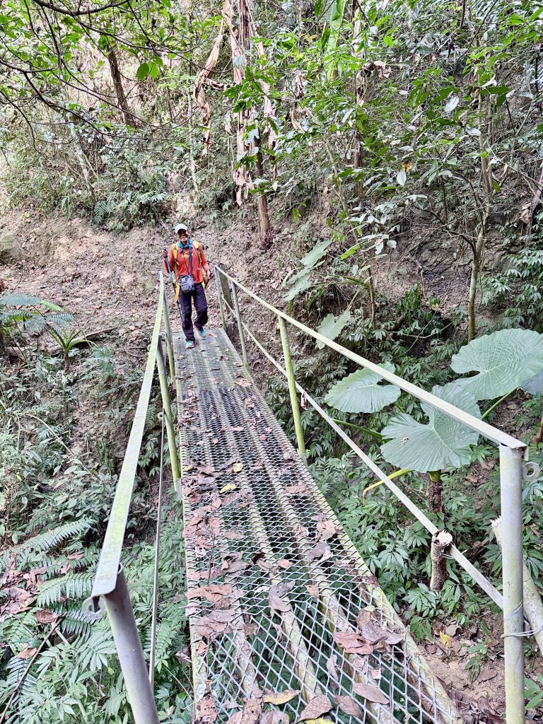 再訪八通關社寮古道登陳東坑山    2025.11.25_2946130