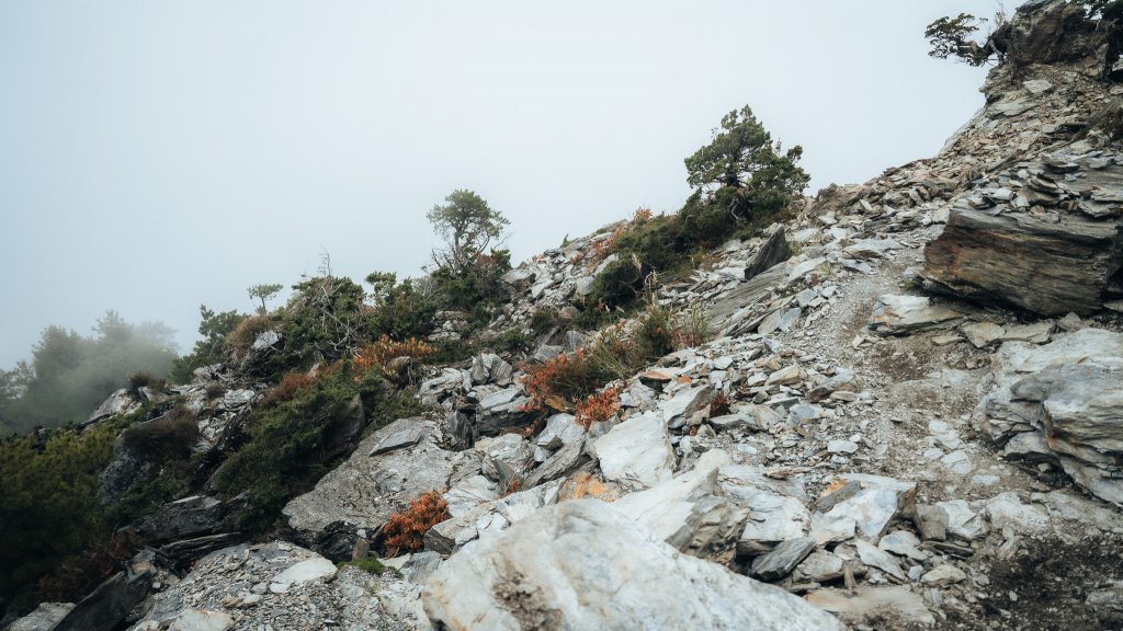 南橫百岳—關山嶺山_2384045