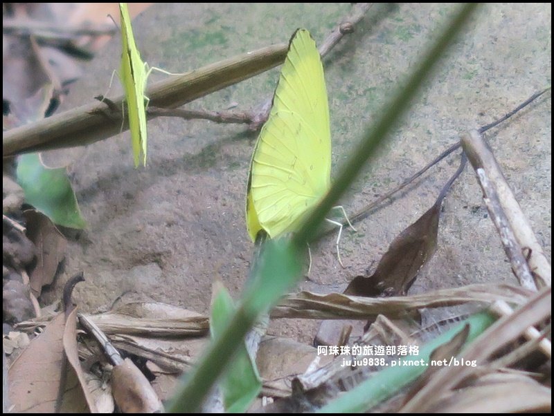 苗栗。火炎山登山步道。賞惡地大峽谷美景_633403